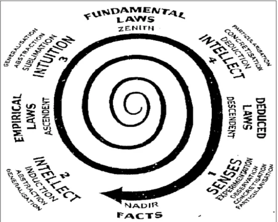 Figura 9: Espiral do Universo do Conhecimento. 