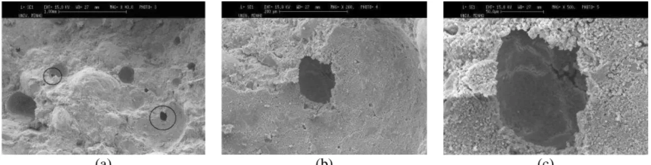 Figura 1 - Imagens obtidas do microscópio eletrônico de varredura em amostras de argamassas 