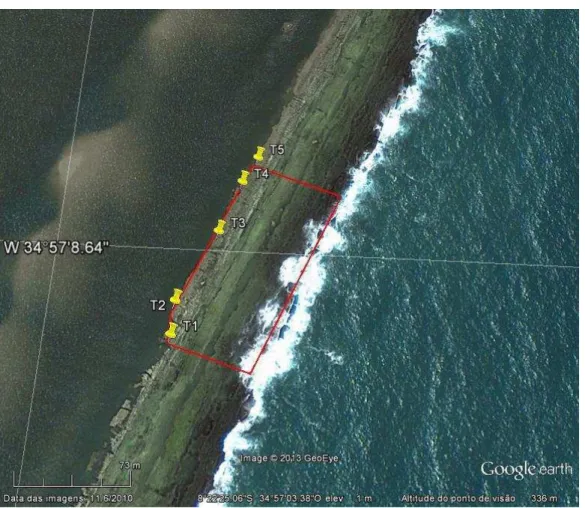 Figura 1: Imagem de satélite mostrando o universo amostral (linha vermelha) e a  localização do início de cada transecção (T1  –  T5)