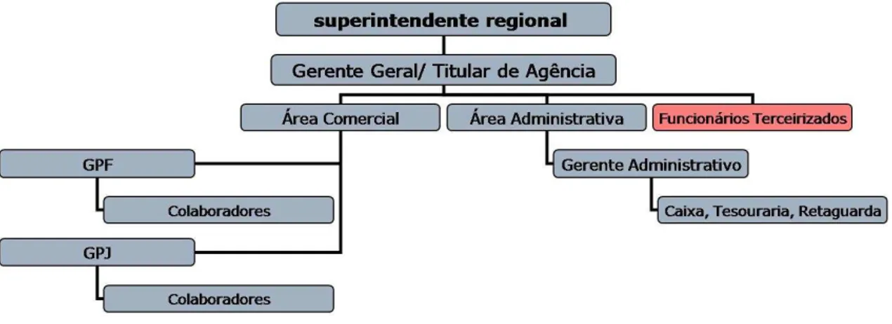 Figura 2 – Organograma dos bancos públicos e privados