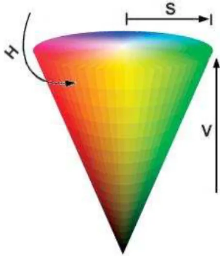Figura 2. Ilustração do cone que as cores são representadas no modelo HSV.  