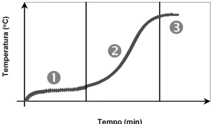 Figura 5  – Exemplo de curva de calor de hidratação de uma pasta de gesso 