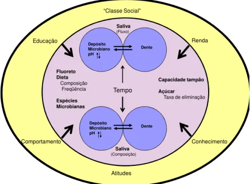 Figura  1:  Ilustração  esquemática  da  relação  entre  os  fatores  etiológicos  (círculos  azuis),  determinantes (círculo rosa) e relacionados (círculo amarelo) com a iniciação e desenvolvimento da  cárie  dentária