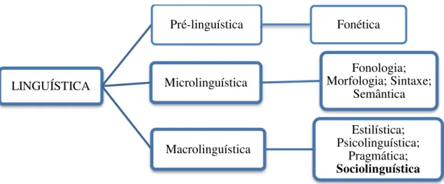Figura 1: Ramificação da Linguística