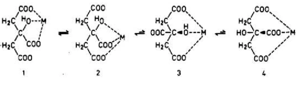 Figura 2. Estrutura esquemática dos quatro modos de ligação encontrados para ligação  de M 3+  íons ao íon citrato [24] .