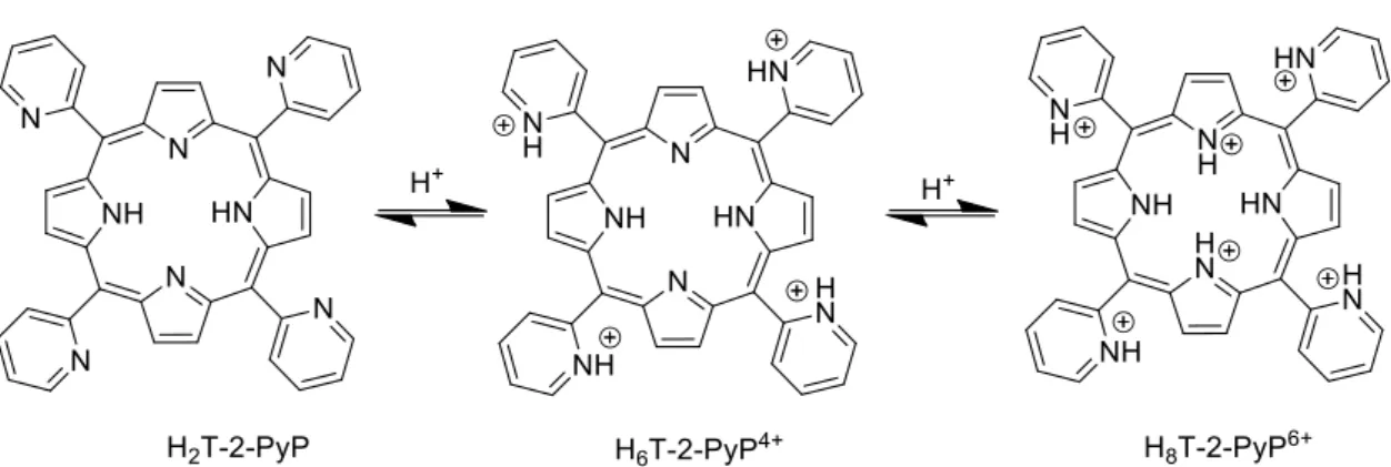 Figura 4.2 - Comportamento ácido-base da H 2 T-2-PyP, também aplicável às porfirinas  bases livres de interesse neste trabalho