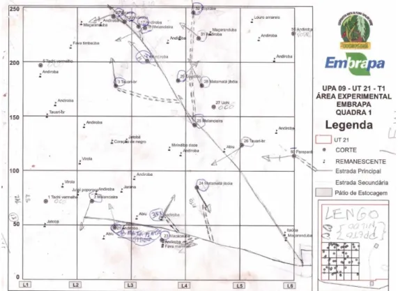 Figura 3.3.  Exemplo de mapa de exploração (elaborado para a Quadra 1 do tratamento T1- T1-UT21) utilizado pelas equipes de exploração florestal na UPA 09 da Flona do Tapajós,  Pará, indicando a direção de queda das árvores exploradas, ramais de arraste  p