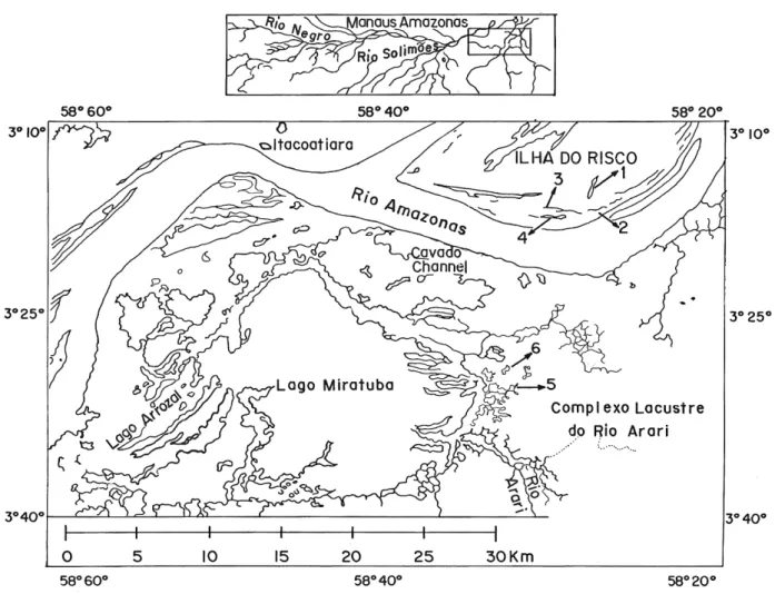Figura 1 -  Localização dos lagos na ilha do Risco e no Complexo Lacustre do rio Arari, Amazônia Central, AM