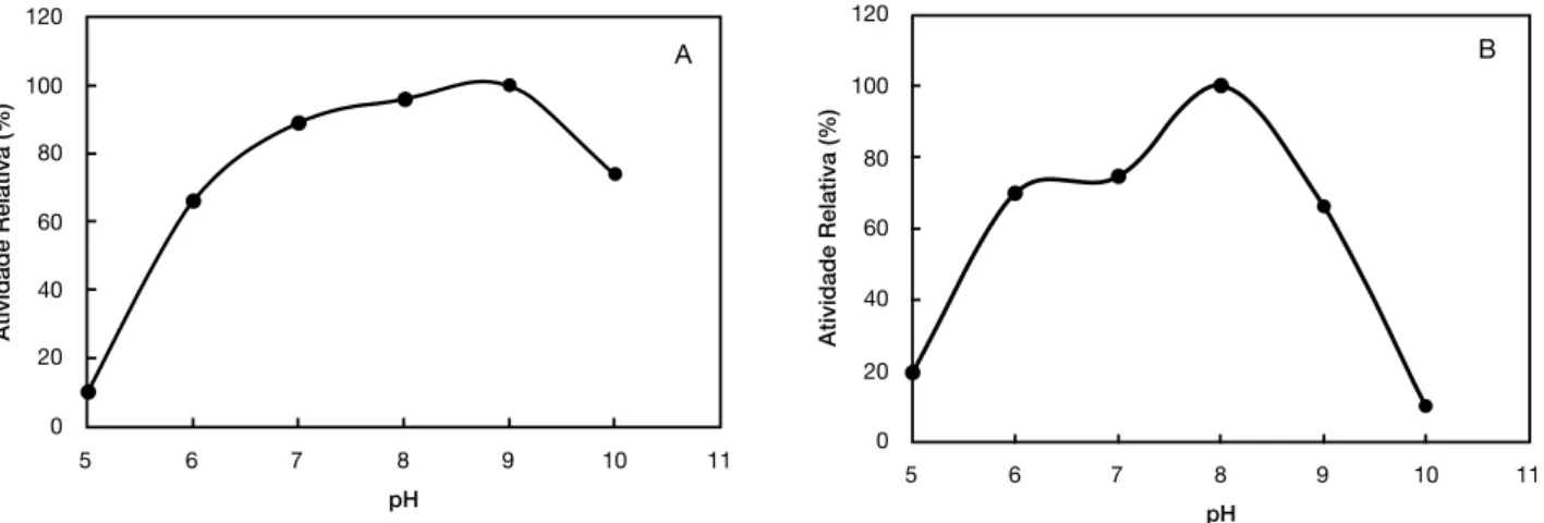 Figura 2.  (A) Efeito do pH sobre a atividade da protease extracelular e (B) Estabilidade da enzima em diferentes pH