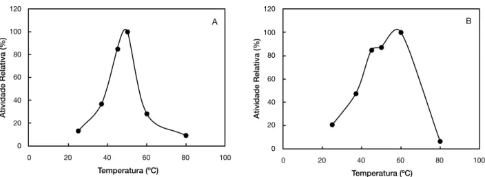 Figura 3.  (A) Efeito da temperatura sobre a atividade da protease extracelular e (B) Estabilidade da enzima em diferentes temperaturas