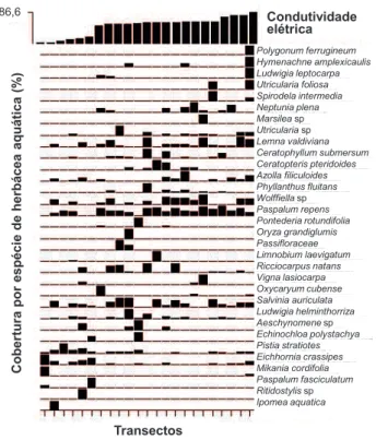 Figura 4. Cobertura relativa das espécies de herbáceas aquáticas em relação a  profundidade da coluna de água (m) na região do Lago Catalão, Manaus, AM.