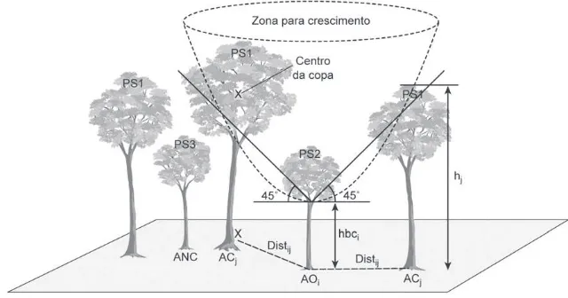 Figura 1 -  Critério para a seleção de árvores competidoras (ACi). A altura hj  foi corrigida em situações de inclinação do terreno (eixo Z).