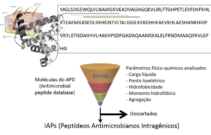 Figura  1.01  –  Processo  de  filtragem  e  seleção  de  fragmentos  proteicos  com  potencial  antimicrobiano  (Brand  et  al.,  2012)