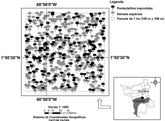 Figura 2 - Distribuição espacial de Pentaclethra macroloba em relação às demais espécies encontradas em uma parcela de um hectare na Floresta Ombrófila  Densa em Caracaraí, Roraima, Brasil.