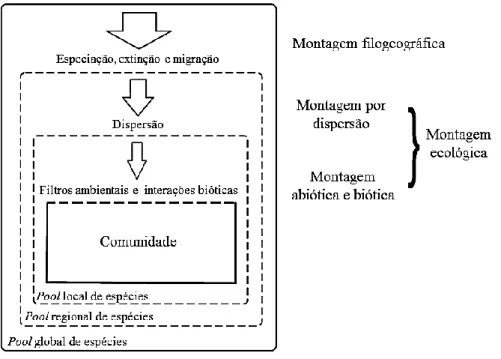 Figura  1.  Processos  ecológicos  que  podem  controlar  as  regras  de  organização  de  determinada  comunidade e as escalas relativas nas quais são mais influentes (adaptado de Gotzenberger et al