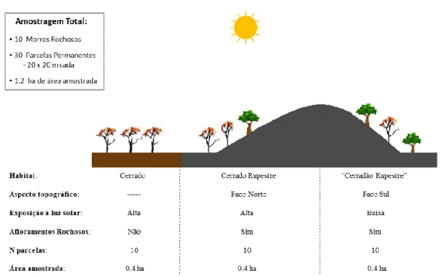 Figura 1.2. Desenho esquemático do esforço amostral realizado em três habitats de interflúvio (cerrado  sem  afloramentos  rochosos  (cerrado),  cerrado  rupestre  e  “cerradão  rupestre”)  localizados  na  Serra  dos  Pireneus, GO