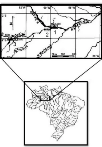 Tabela 1 -  Médias e desvios-padrão de peso e comprimento em juvenis  de curimatã Prochilodus nigricans nas três áreas de estudo no médio rio  Solimões-Amazonas.