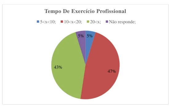 Gráfico 3 – Habilitações Académicas (Fonte: Rosa Silva) 