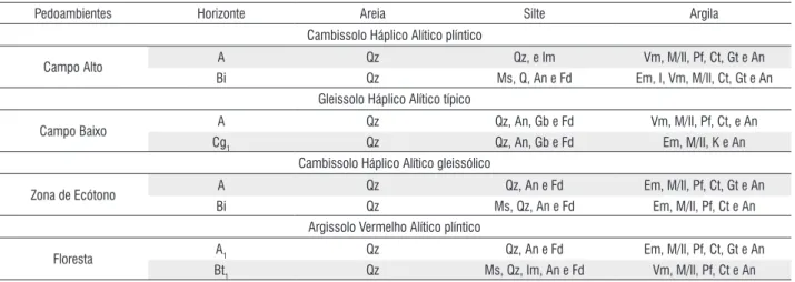 Tabela 5 -  Composição mineralógica das frações areia, silte e argila dos horizontes diagnósticos superficiais e subsuperficiais nos diversos pedoambientes  em uma topossequência de transição Campos/Floresta na região de Humaitá, AM.