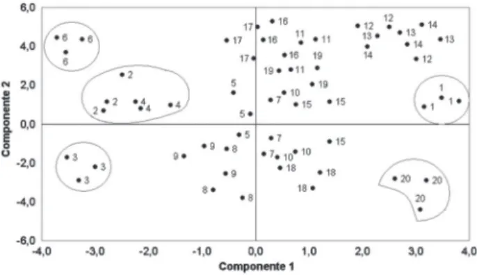 Figura 3. Inter- relação (biplot) entre a componente principal 1 (DBO, DQO  e coliformes termotolerantes) e 2 (elementos iônicos) considerando as  propriedades físicas, químicas e microbiológicas na água do rio Parauapebas  - PA para os anos 2004, 2007 e 2