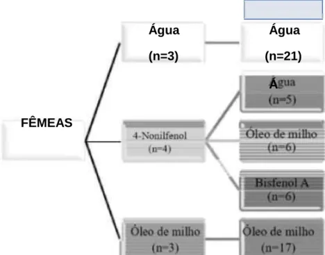 Figura  5.  Grupos  experim  entais  utilizados  para  avaliar  os  efeitos  da  exposição  ao  Bisfenol  A  após  o  desmame  em  camundongos  Balb/c  sensitizados  por   4-Nonilfenol  durante  a  vida  perinatal  *Geração  F1:  camundongos  filhos  das  