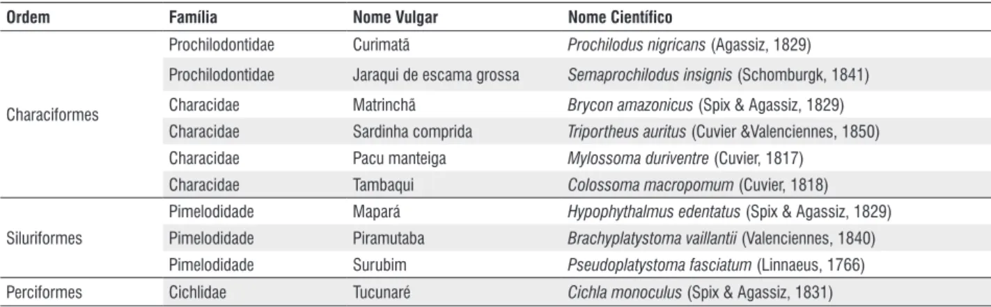 Tabela 1- Lista de espécies amazônicas estudadas.