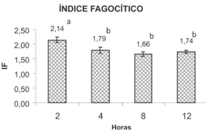 Figura 2 -  Valores médios do índice fagocítico de matrinxã Brycon amazonicus  nos diferentes tempos de incubação de leveduras (Médias seguidas de mesma  letra não diferem significativamente)