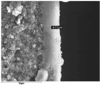 Fig. 1  -  SEM photograph of the cross-section region of the c-CMSM supported  on the alumina tube