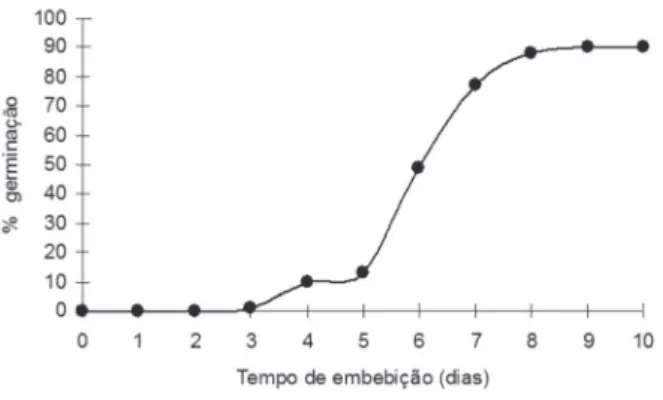 Figura 3 -  Teor de proteína no eixo embrionário (•) e nos cotilédones ( • ) de  sementes de Dalbergia nigra durante a germinação.