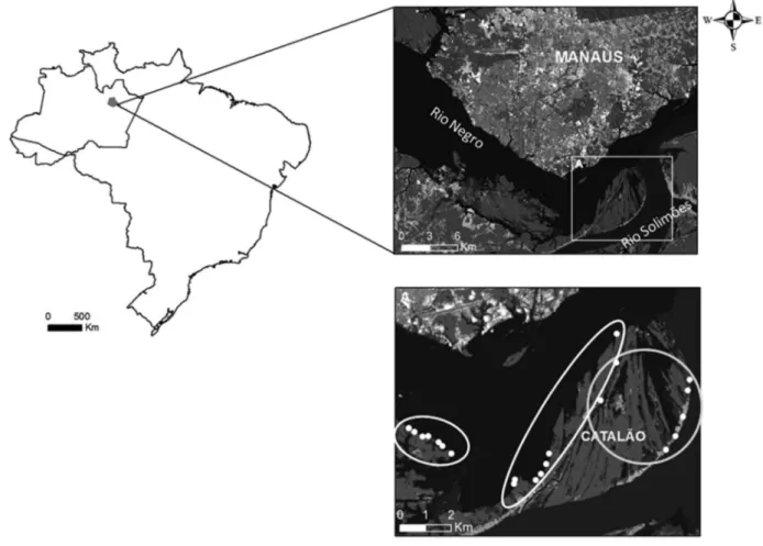 Figura 1 -  Imagem Landsat da região do Catalão – Amazonas – Brasil, 2007. Círculo da esquerda destaca os pontos de água preta, o do meio os pontos de 