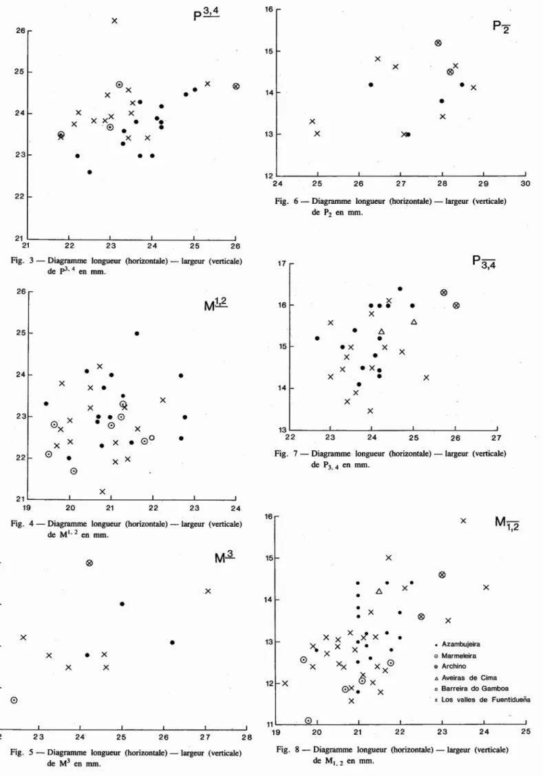 Fig. 3 - Diagramme longueur (horizontale)- largeur (verticale) 17 P3,4