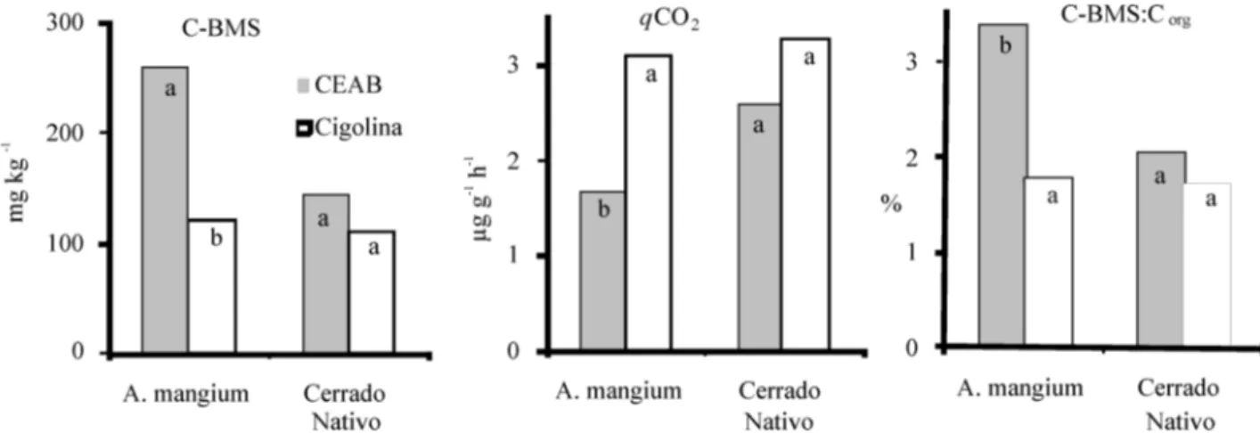 Figura 1 - Média do carbono da biomassa microbiana do solo (C-BMS), quociente metabólico (qCO 2 ) e relação C-BMS:C org  entre amostras de solo de plantios  de Acacia mangium e Cerrado nativo de referência.
