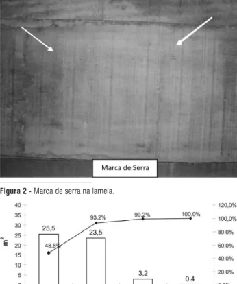 Figura 2 - Marca de serra na lamela.