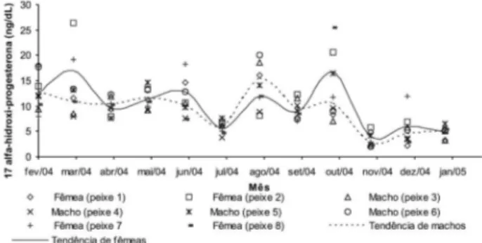 Figura 9 - Concentração de testosterona total em machos e fêmeas de  pirarucu, Arapaima gigas, do grupo B.
