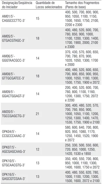 Figura 2 - Perfil da variabilidade genética em populações de Anopheles darlingi  de Manaus, coletadas no intra e peridomicílio, usando o iniciador AM06