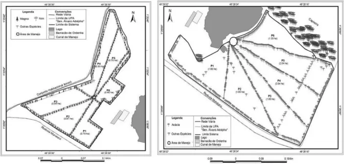 Figura 1 -  Mapas do Sistema Silvipastoril 1 e do Sistema Silvipastoril 2, na Unidade de Pesquisa Animal “Senador Álvaro Adolpho”, em Belém-PA