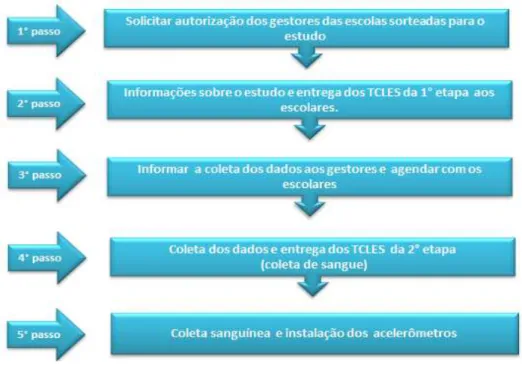 Figura 5: Sequência de etapas da coleta dos dados da pesquisa, 1° e 2° fase 