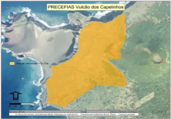 Figura 11: Vulcão dos Capelinhos   PRECEFIAS / Serviços do PNF 2010 