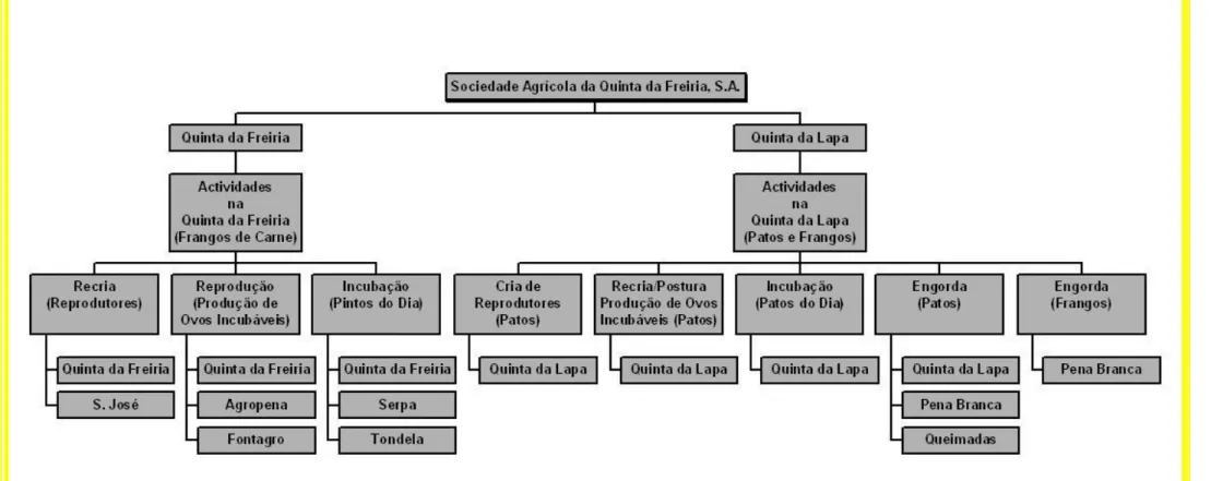 Figura 1 – Constituição e Actividades da Sociedade Agrícola da Quinta da Freiria, S.A