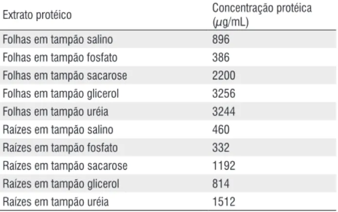 Tabela 1: dados de quantificação fluorimétrica de extratos protéicos totais 