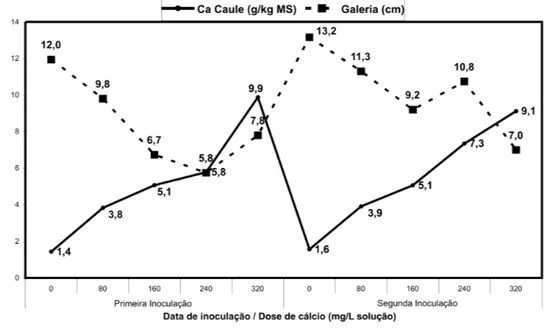 Figura 3. Relação entre doses de cálcio na solução nutritiva e comprimento de galeria feita pela broca de H