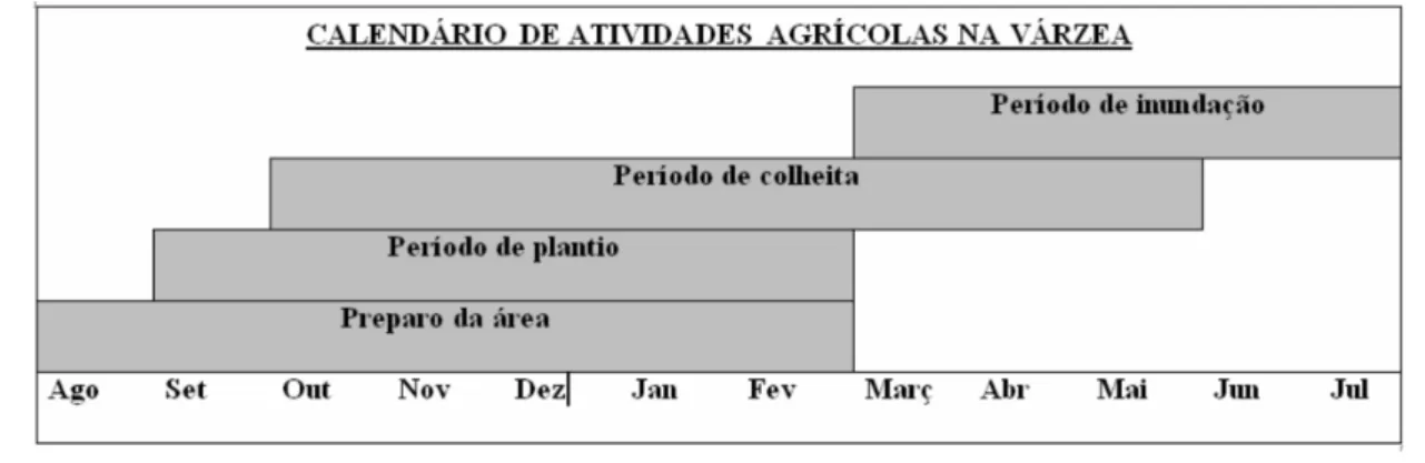 Figura 1 - Distribuição das atividades agrícolas e período de inundação das áreas agricultáveis na várzea da localidade da Costa da Terra Nova, Careiro da  Várzea/AM.