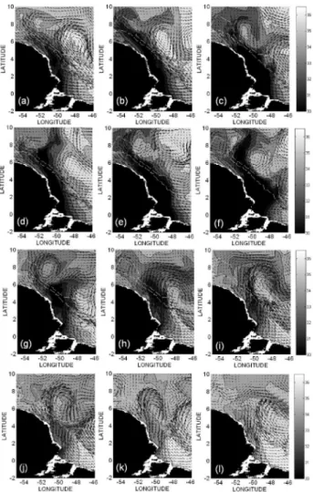 figura 6. análise da evolução espaço-temporal da pluma amazônica associada  às formações de anéis, simulados para as médias mensais do ano de 1999,  período de campanha do Programa ReVIzee-sCoRe/n, correspondentes aos  meses de janeiro (a), fevereiro (b), 