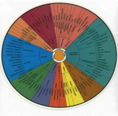 Figura 3: A roda dos aromas e sabores – The Beer Flavour Wheel, desenvolvido por Morten Meilgaard  (Meilgaard 1970)