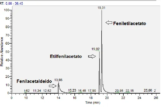 Figura 15:Exemplo de um cromatograma com a identificação dos padrões analisados e os tempos de retenção