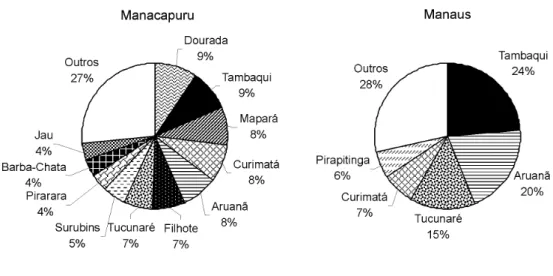 Figura 8 – Percentual do desembarque acumulado dos itens capturados com malhadeira e registrados nos portos de Manacapuru de 2001 a 2004 e de 