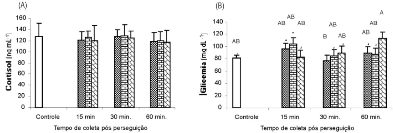 Figura 1 - Cortisol sangüíneo (A) e glicemia (B)  de matrinxã aos 15, 30 e 60 minutos após  perseguição de 2     ,5     e 10     minutos