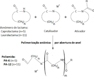 Figura 2.3: Polimerização aniónica por abertura de anel das poliamidas (adaptado de 