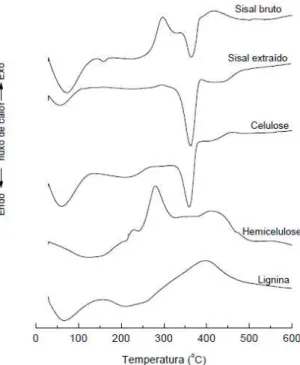 Figura 2.31: Termogramas DSC de fibras de sisal bruto e extraídas (sem substâncias residuais como  ceras, gorduras e cinzas), da celulose, da hemicelulose e da lenhina [105]