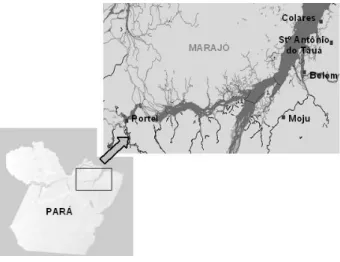 Figura 1 - Localização geográfica das áreas de coleta de frutos bacabi (O.  mapora Karsten) e bacaba (O
